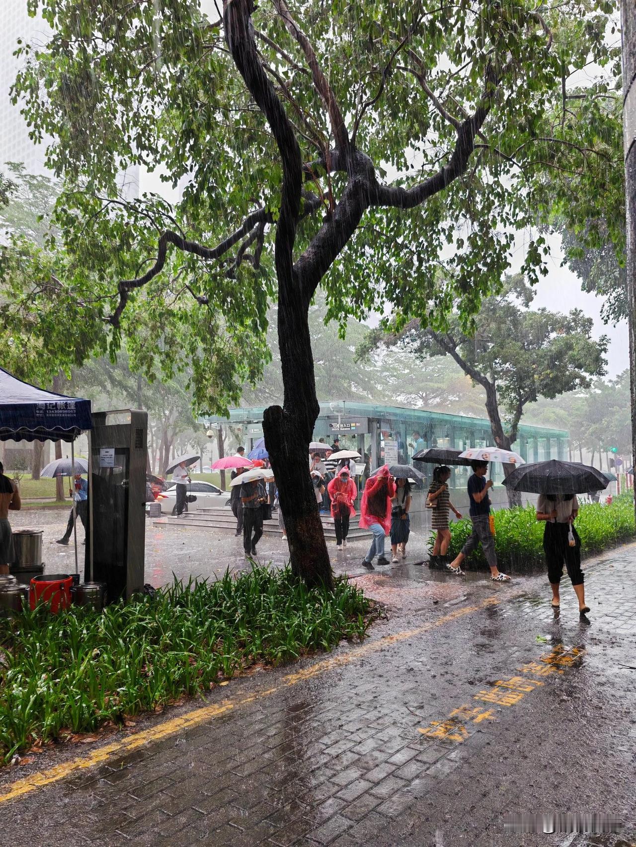 4月26日，坐标深圳。
今天上班之路，真的太艰难了，出门没走几步，就遭遇瓢泼大雨