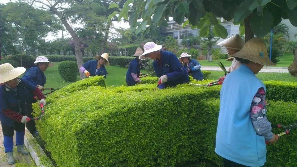 穿行城市街衢、庭苑幽隅，或是乡野广场，满目繁花嘉木，每每令人沉醉流连。世人皆赏花