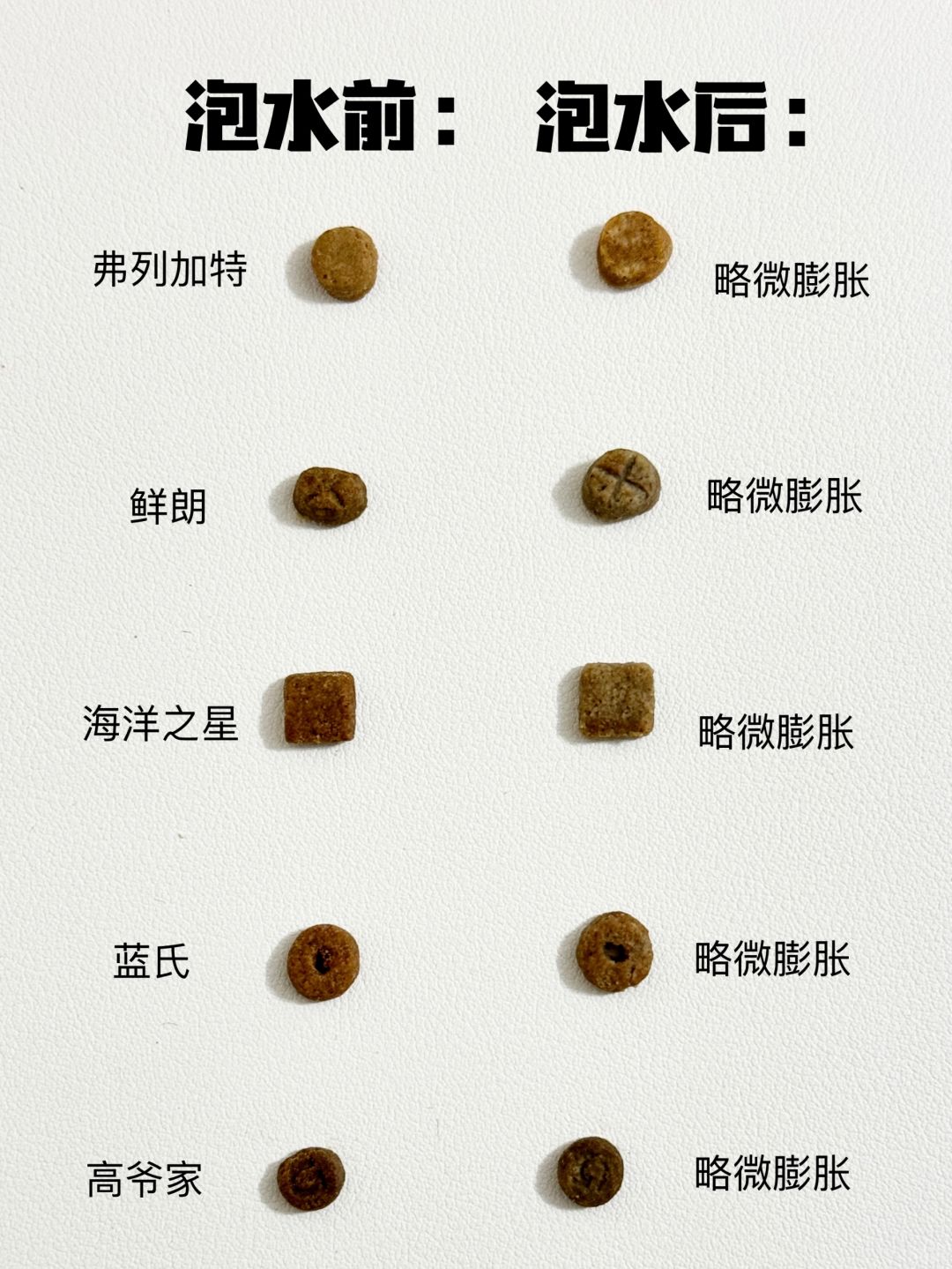 热门猫粮靠谱大测评⁉️烘焙粮专区🫡