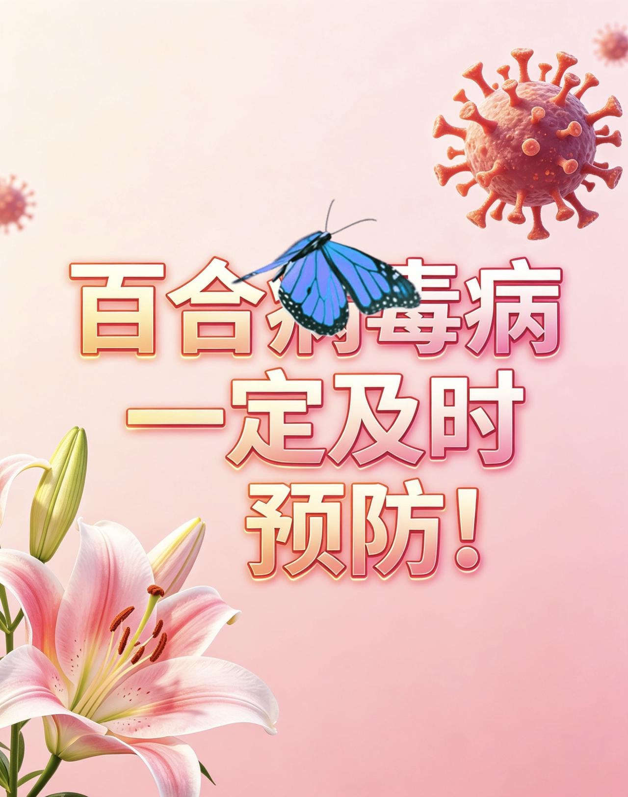 百合病毒病一定及早预防！百合种植 百合