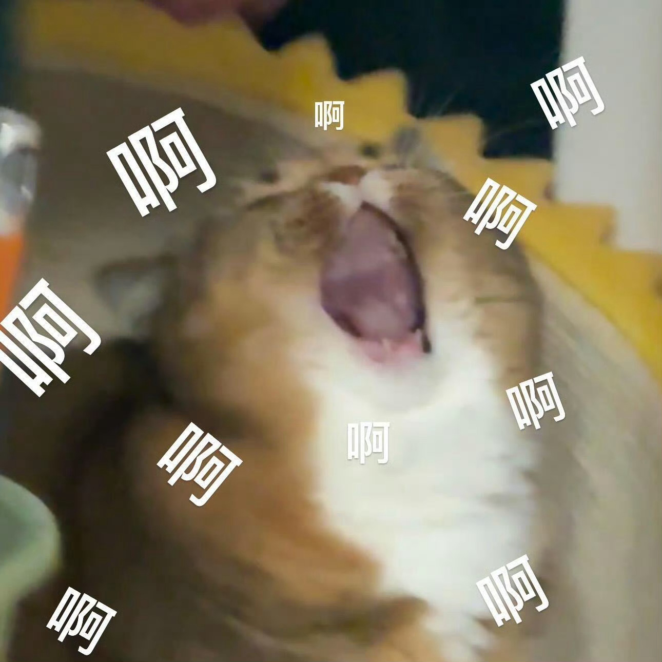 也很庆幸探索新领域的时候能遇到一群真心为她好的志同道合之人，粉丝能做的真的有限，