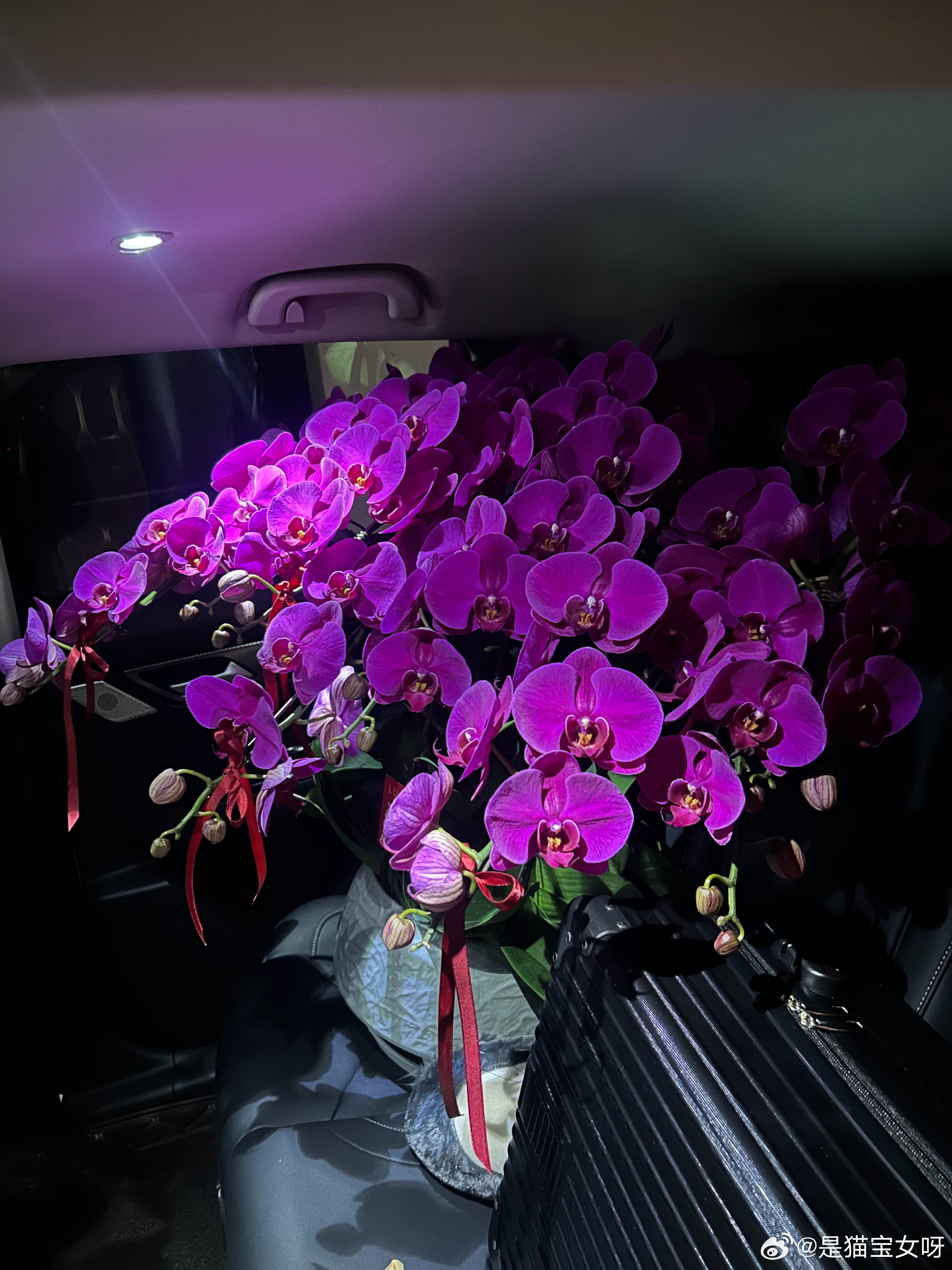 生活里所有的❤️都是家长和学生给的 三亚