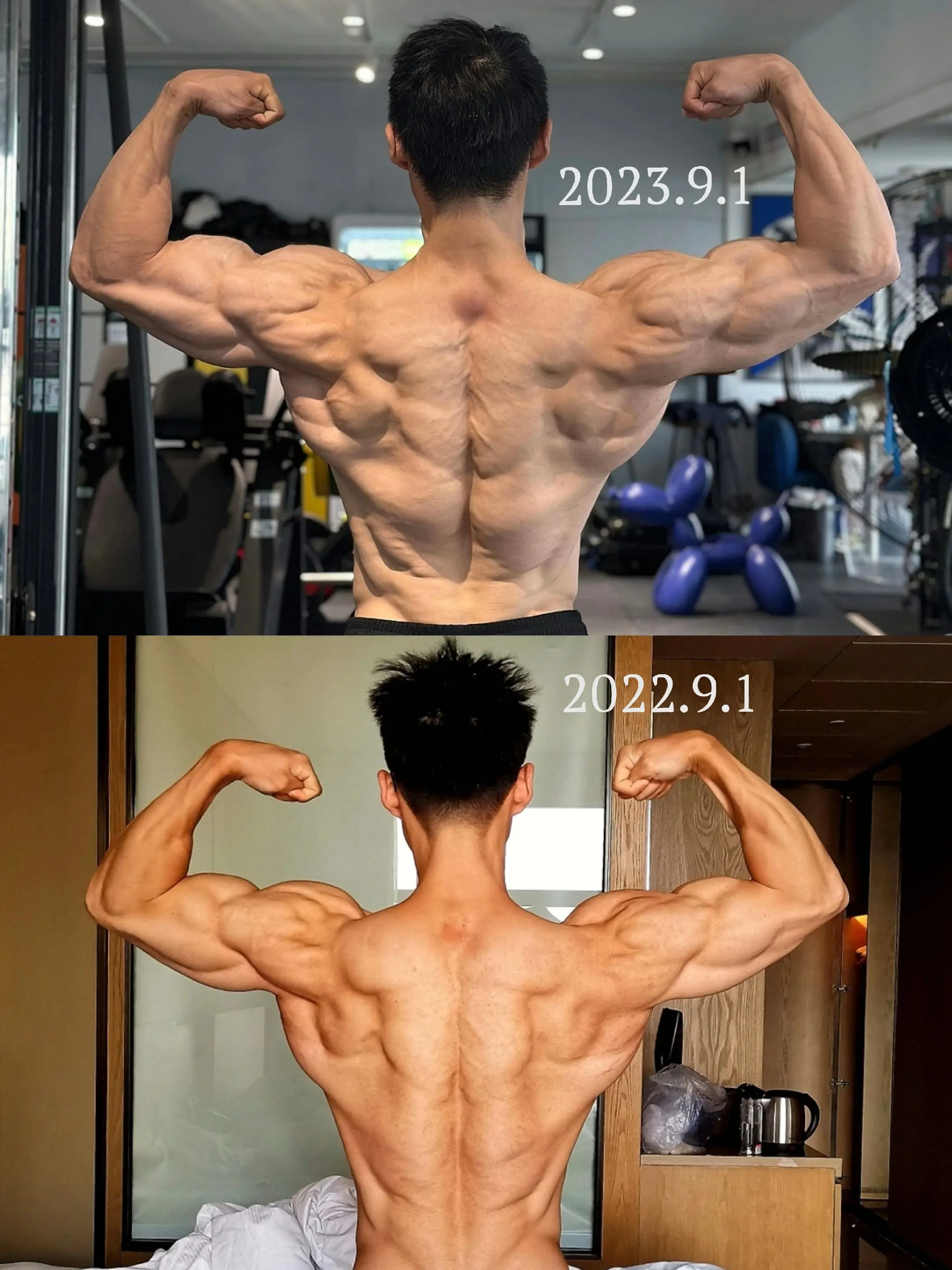 结构优于重量，功能决定形体。整体大于局部，训练先把握整体性协调性，才有...