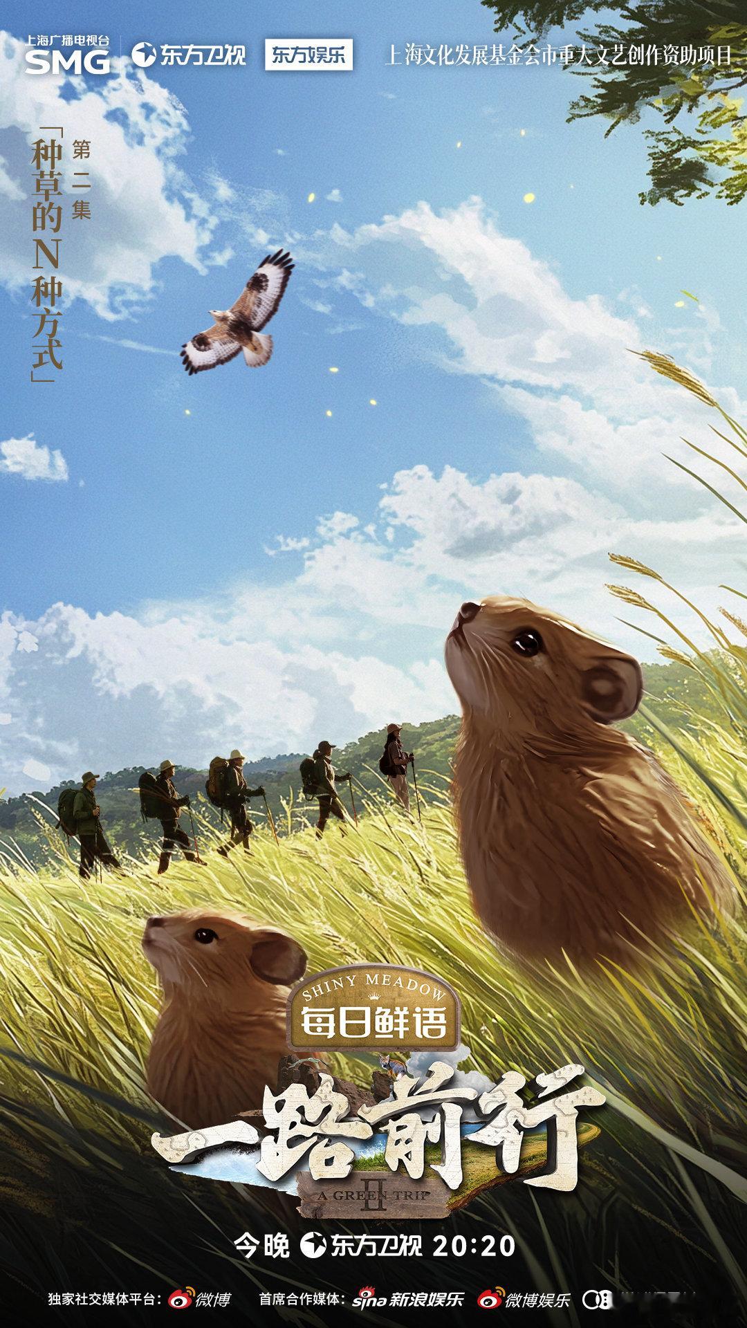 嘉塘草原的草场退化，是鼠兔作祟还是另有隐情？今晚20:20 一路前行  带你走进