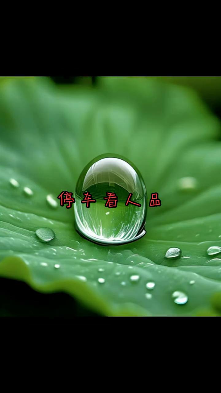 停车看人品。
你发现了吗？一个不好好停车的人干什么都不守规矩、无底线。他不是不会