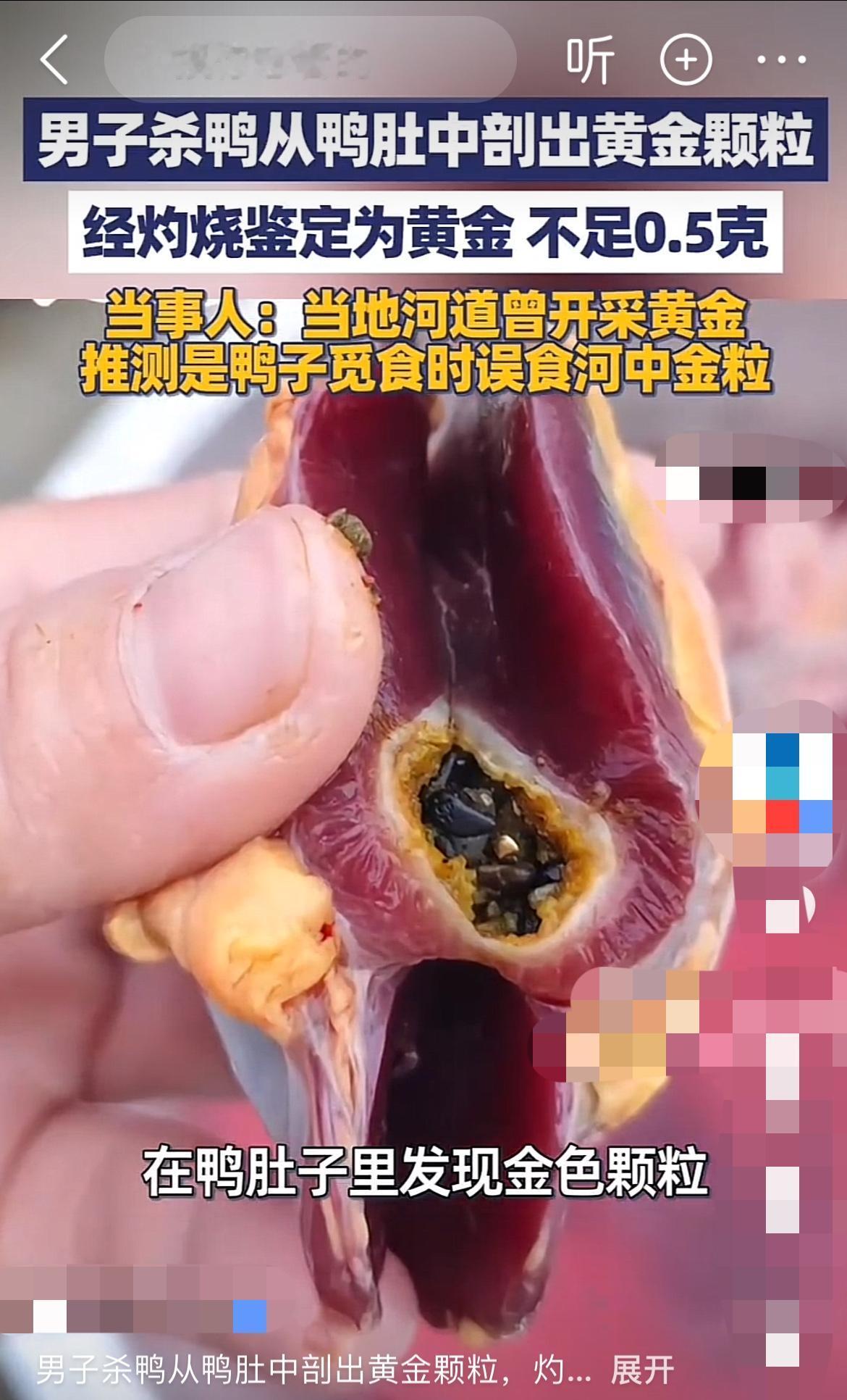 “妈呀！这鸭胃里咋有金子？”在湖南邵阳，刘先生过年杀自家散养鸭子时，被眼前一幕惊