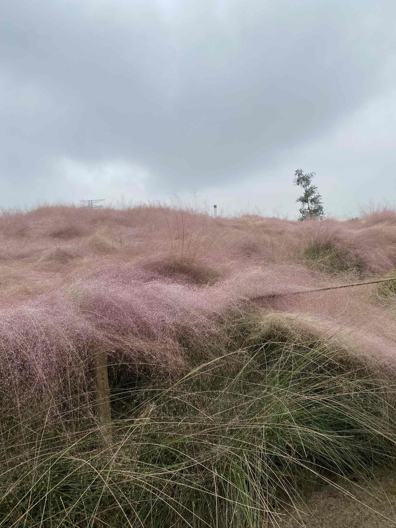 老公懒，是因为老婆太勤快；孩子懒，是因为妈妈太勤快！

昨天晚上我去学校开家长会
