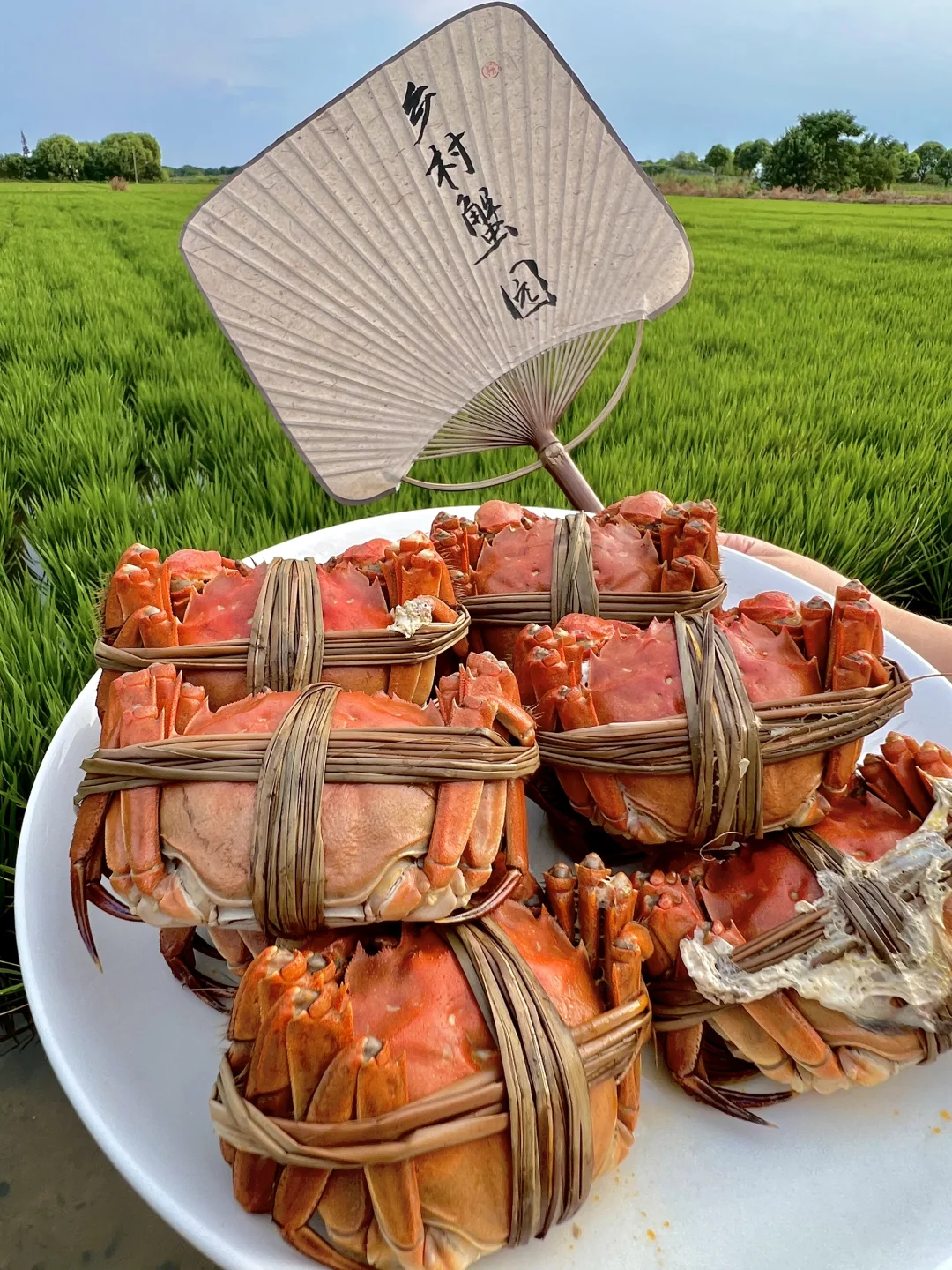 现实版避世小院…美到失语！！