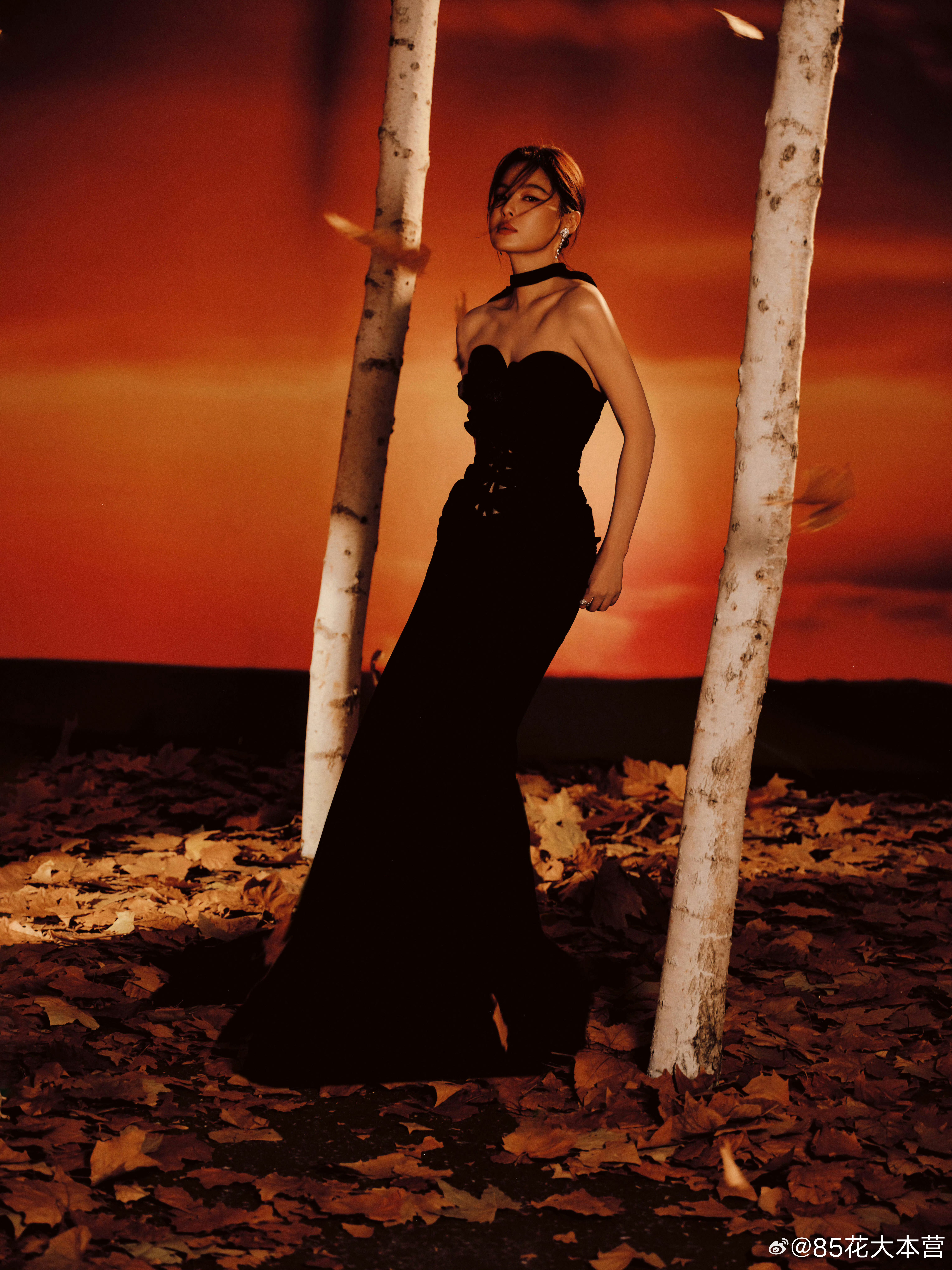 ES2025秋冬高定+高珠+大刊封面同水平的表现力威尼斯影后辛芷蕾出手，微博之夜