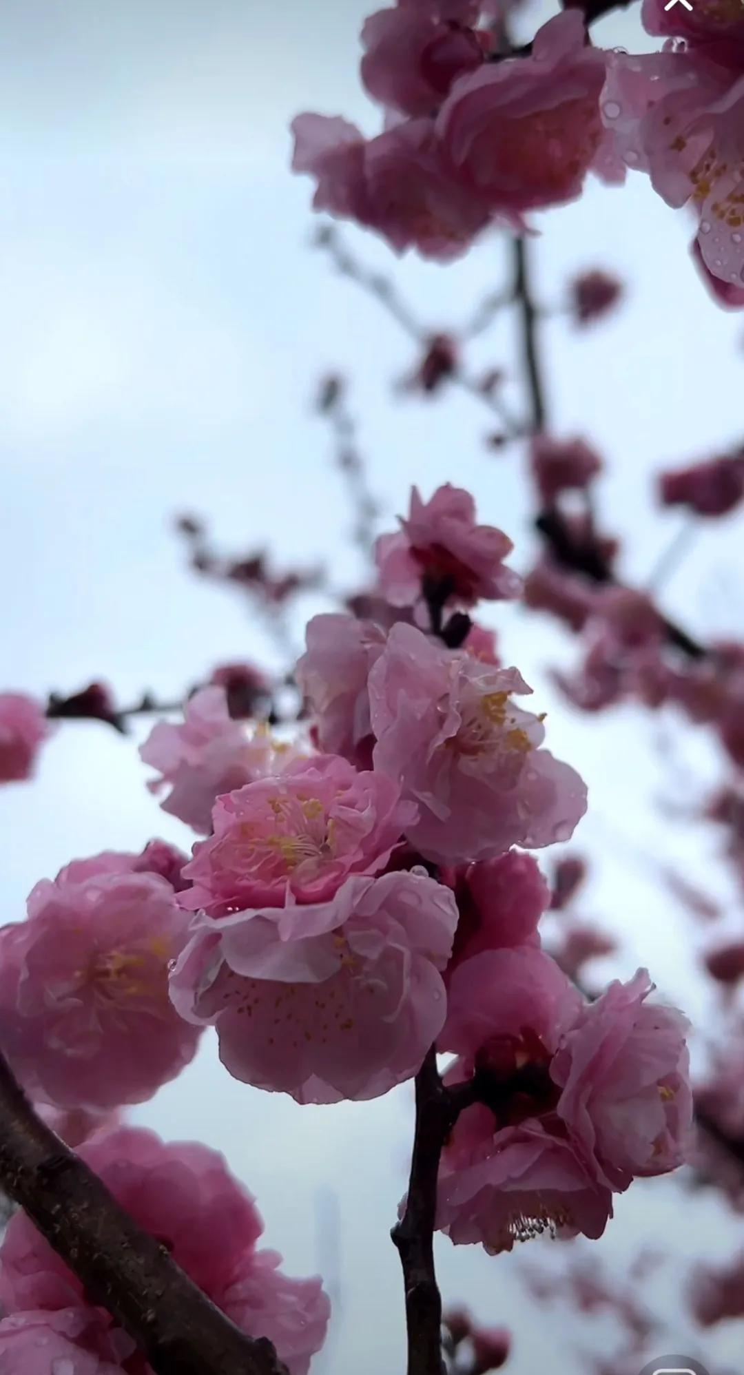 旅行随手拍坐了三个小时的车，就为了看这片海。浪花卷着白边扑过来，脚边的沙子软软的
