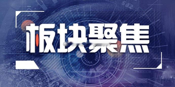 明日潜力主线及核心标的梳理一、低位防御与资金承接（确定性相对最高）今日资金流向明