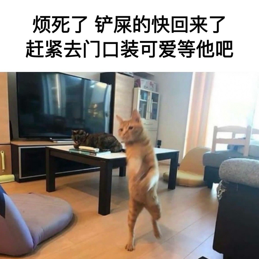 真拿你没办法#meme# ​​​