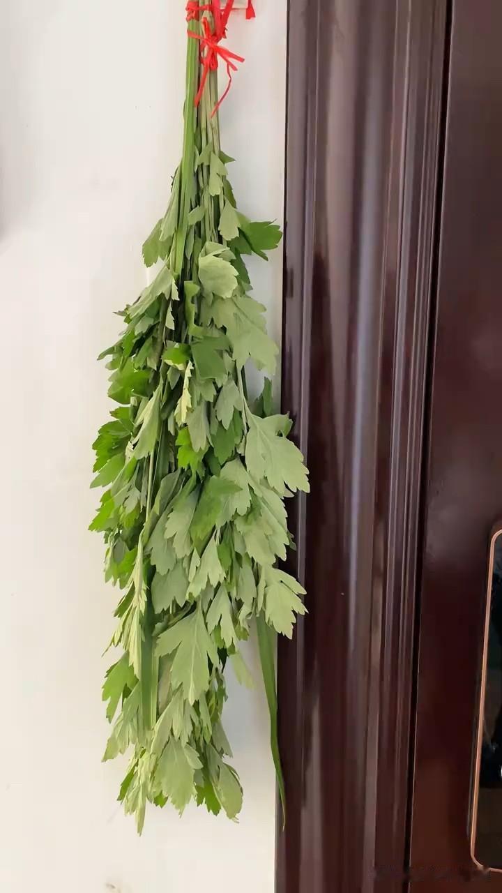 端午节挂艾草传统别丢，1不采2不挂3要吃4要忌

日子过得真快，6月19日就是端
