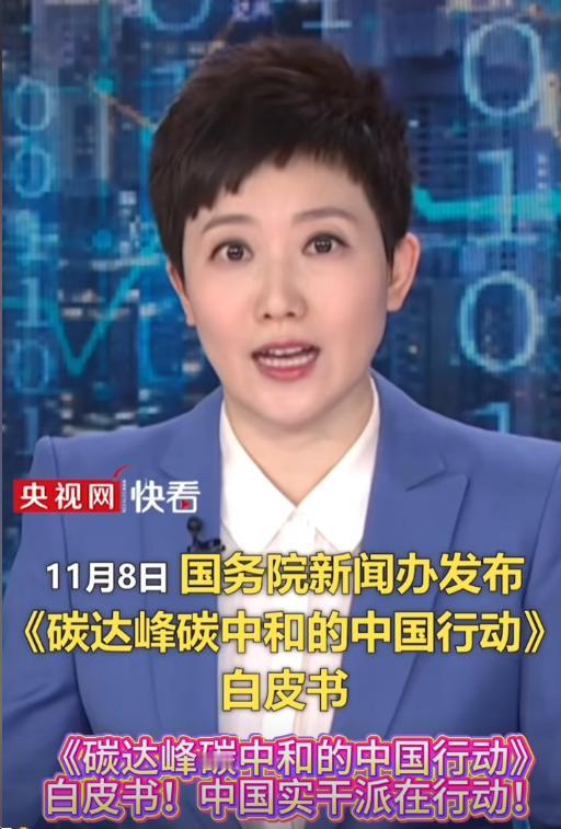 中国碳中和白皮书发布，非化石能源消费比重逼近20%
国务院新闻办发布白皮书，展示