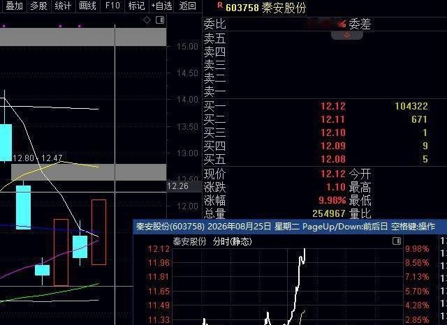 干货：3跌涨停，1跌涨停，秦安股份3跌后涨停，昨天尾盘内参说今天2跌符合战法，有