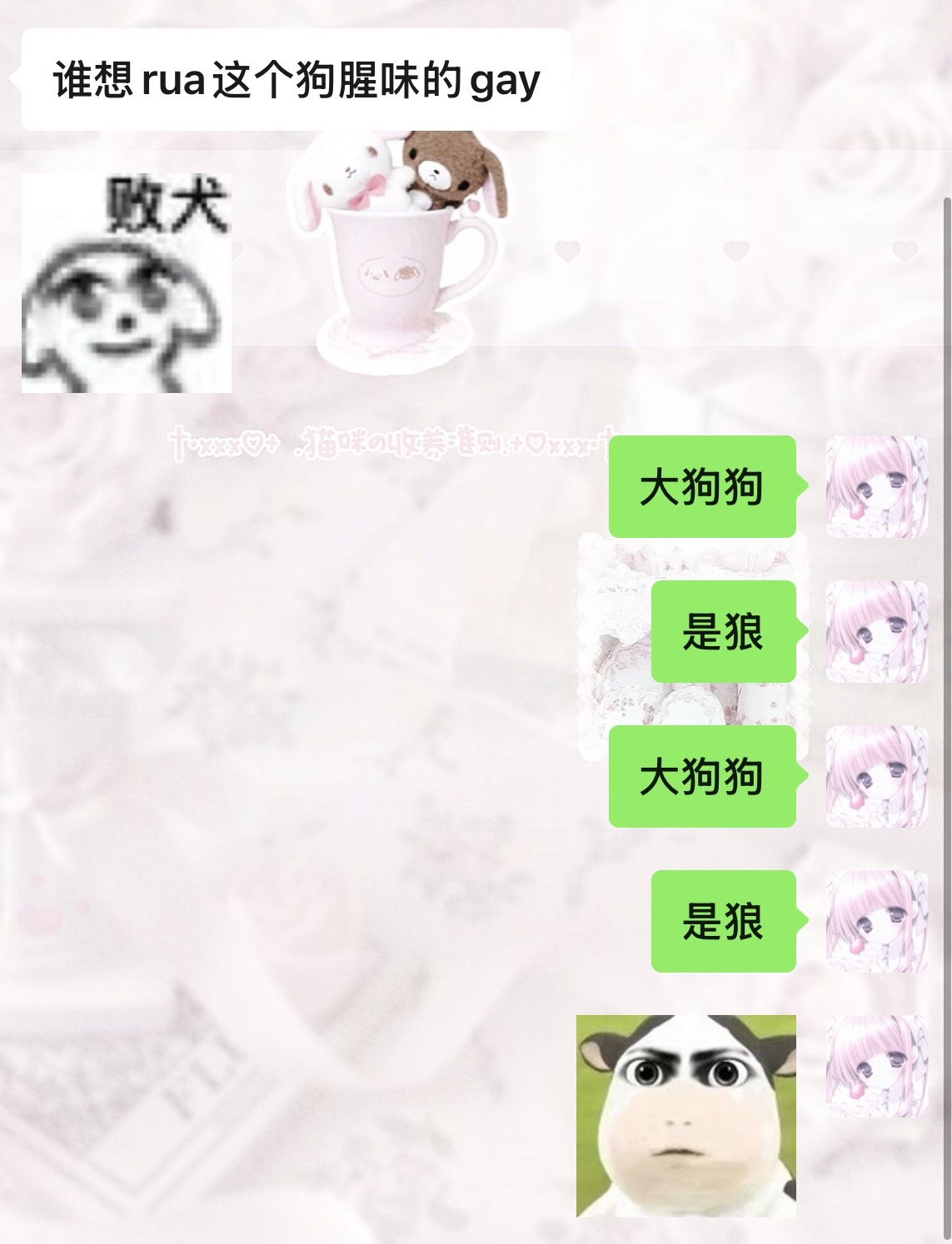 哦哦哦 