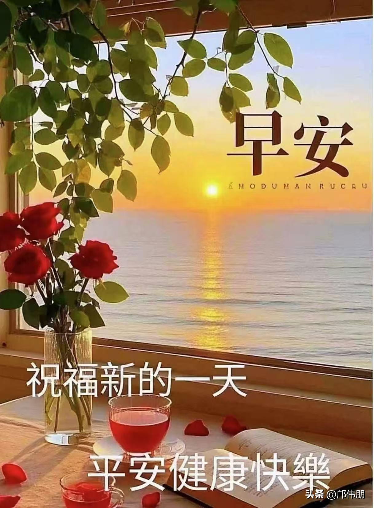 清晨推开窗，那只流浪猫正蹲在楼下，眼睛望着我。我突然想，昨夜那场雨，它躲在哪里？