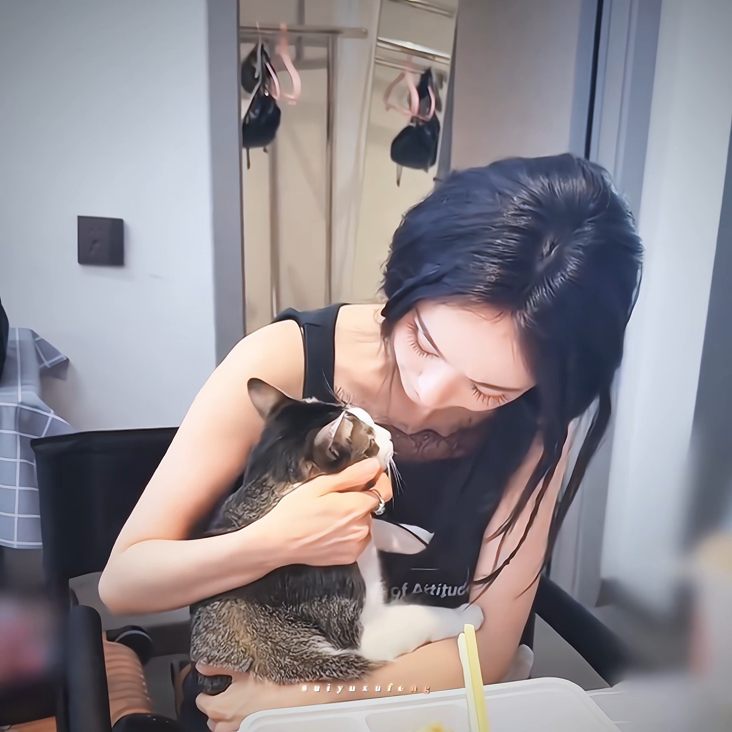 小猫咪喵的一声就要扑过去 