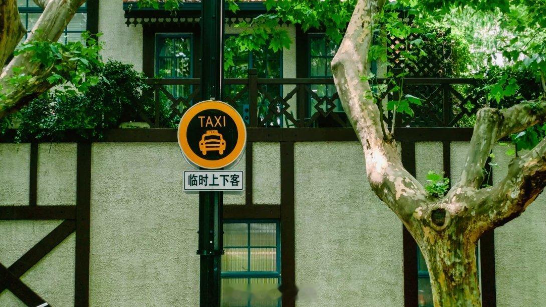 生活手记 走在上海的街道上，梧桐树影斑驳，老洋房的窗台悄悄探出几朵花，转角可能就