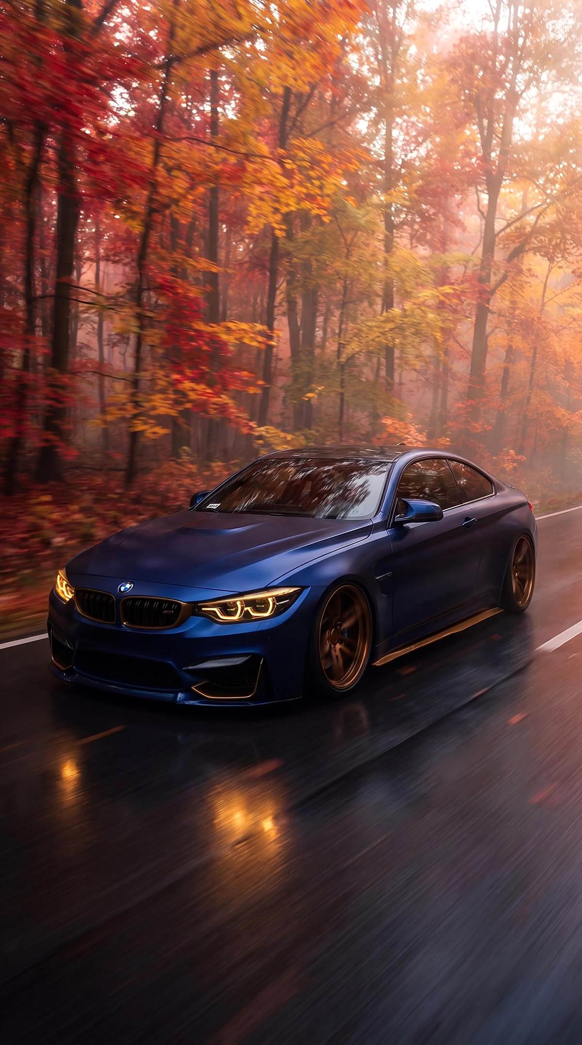 早！Bimmer手机壁纸