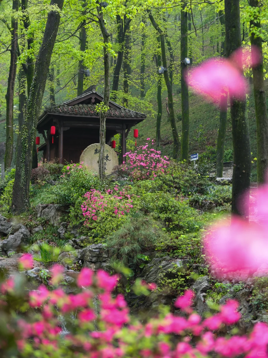 以为婺源已经很美了，直到我去了铜陵❗️❗️