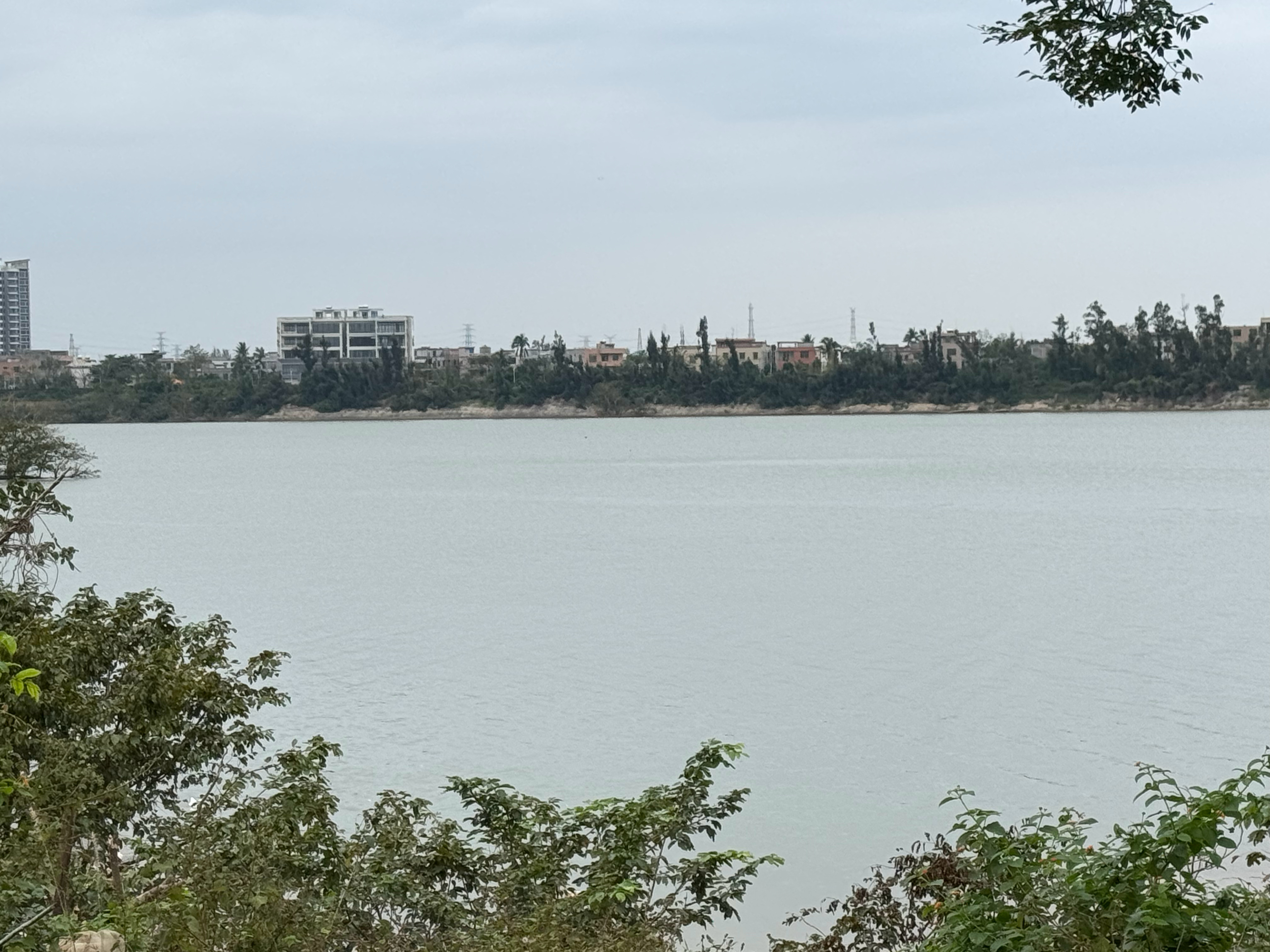 今日海口虽阴天且微风轻拂，但依旧低温稍感寒冷。在这清新的早晨，我选择了南渡江畔作