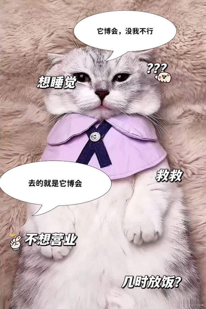 养宠宝子集合啦🐱🐶淘宝联合超多宠物大牌，万份免单福利重磅来袭！5月7日-10