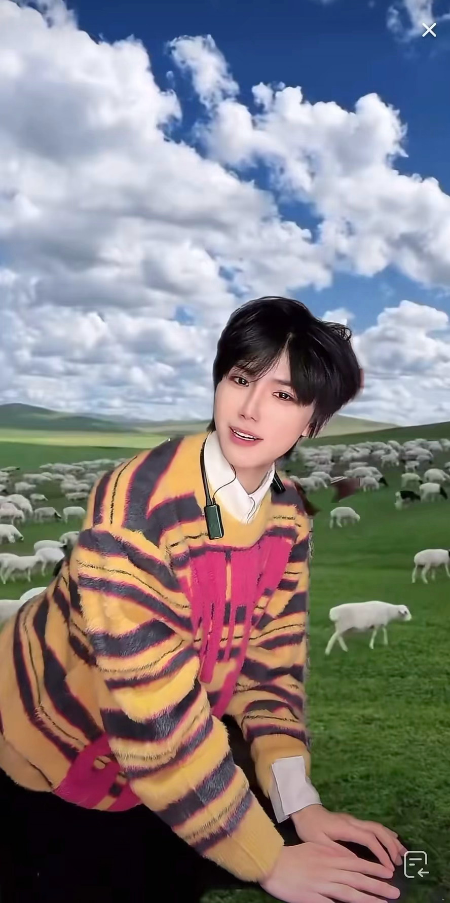 🐄or🐕 