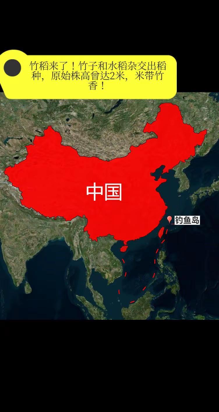 竹稻来了！竹子和水稻杂交出稻种，原始株高。曾达2米，米带竹香！昨天煮饭的时候，三