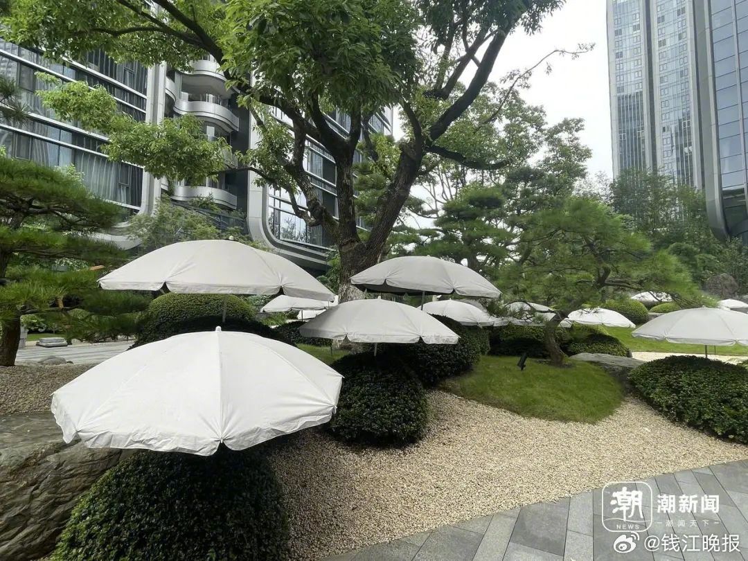 【#杭州一豪宅给价值上万的绿植撑太阳伞#】近日，有网友分享了杭州一小区在炎热的夏
