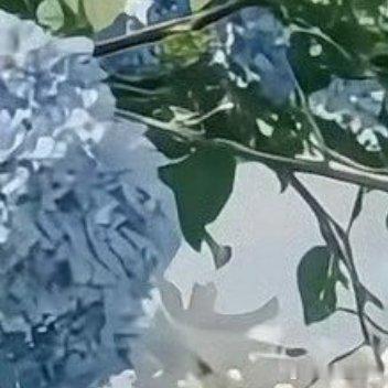 每日一善每日‬一善 阳光信用   世界之路并没有铺满鲜花，每一步都有荆棘。但是你