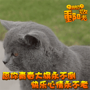 它直线比我考驾照走的还直它要是去考科三，世界上会多多少克快乐的男孩女孩 ​​​