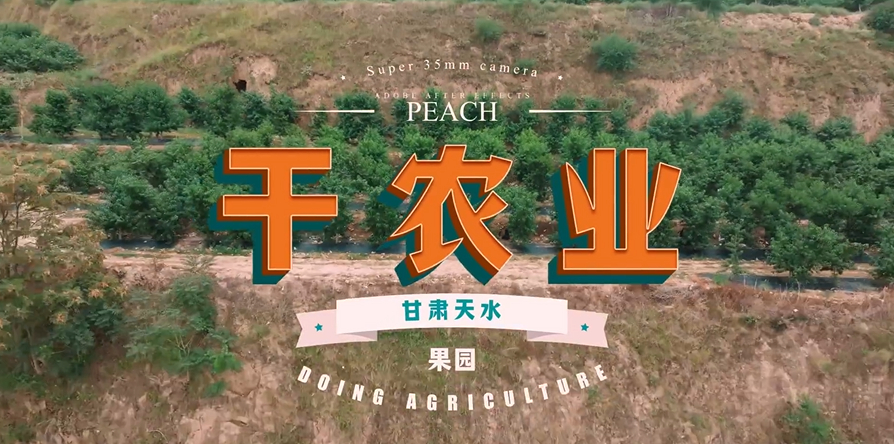 天水农业老师用pdd吃遍全国水果墨檀老师从澳洲留学归来后，深耕甘肃天水农业，当地