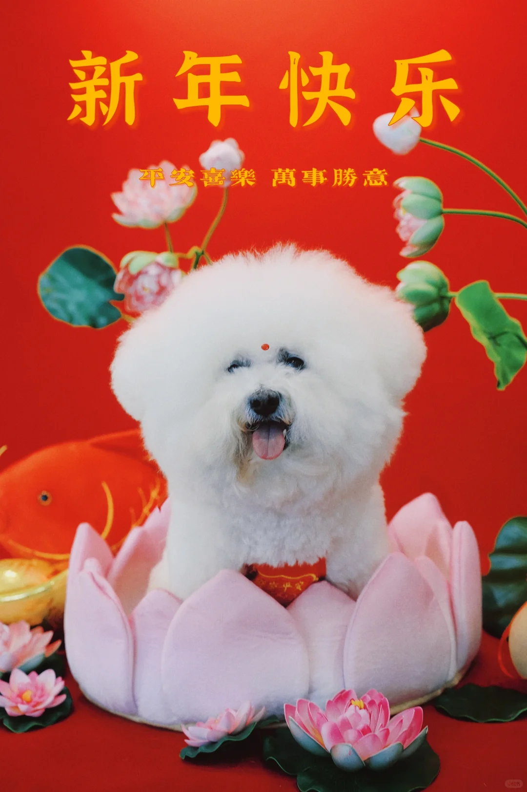大年初一 年画娃娃来拜年🥳
