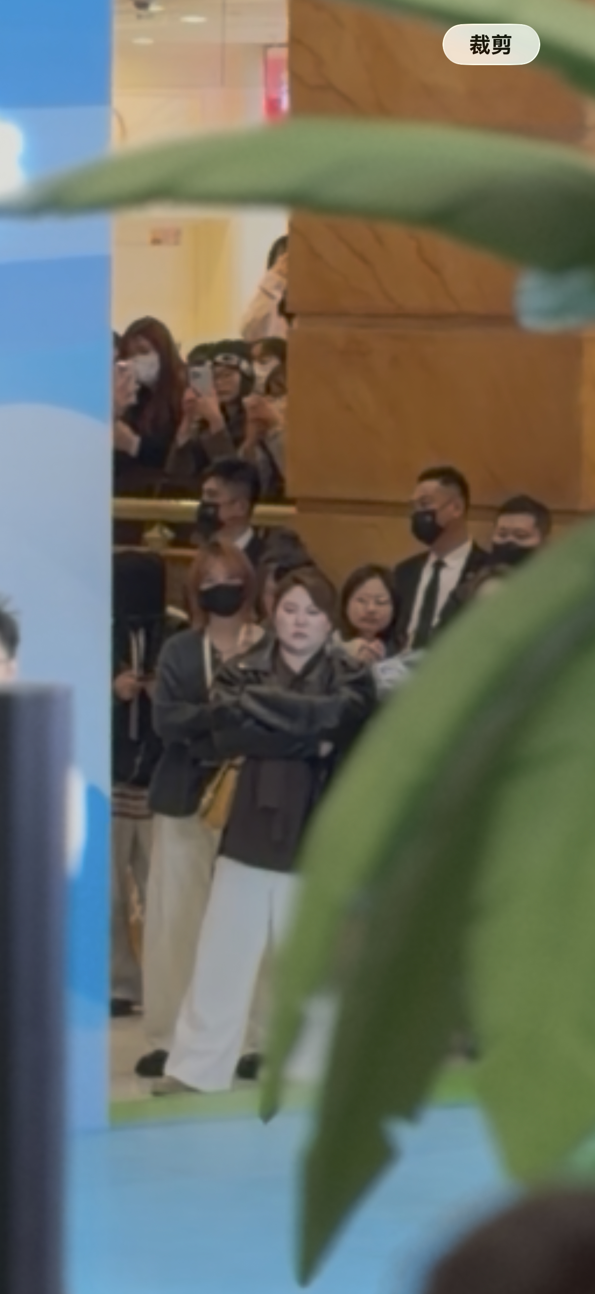 朵拉就这样静静的看着你