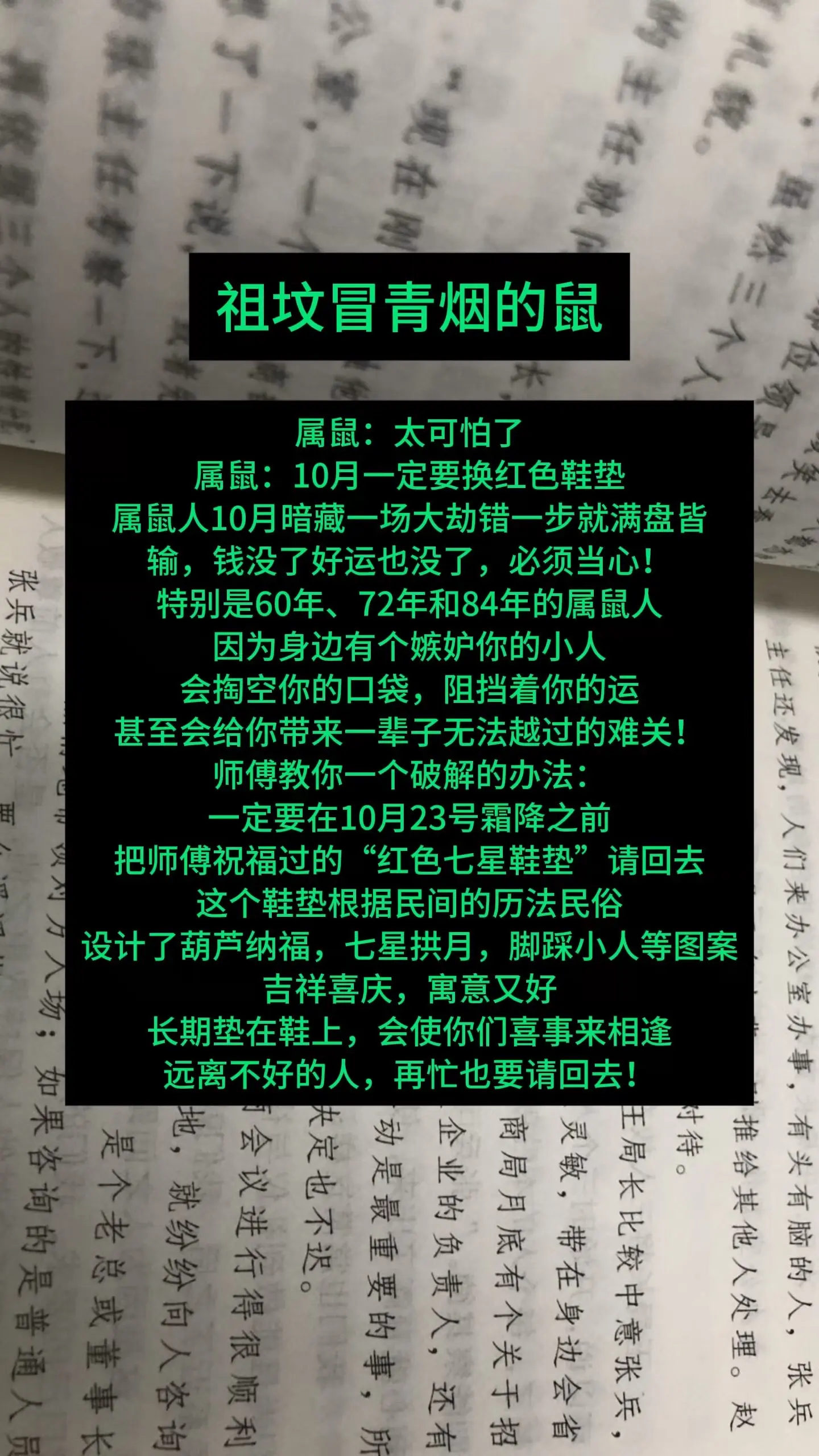 1972年的鼠 1984年老鼠 1996鼠 属鼠的人 生肖鼠