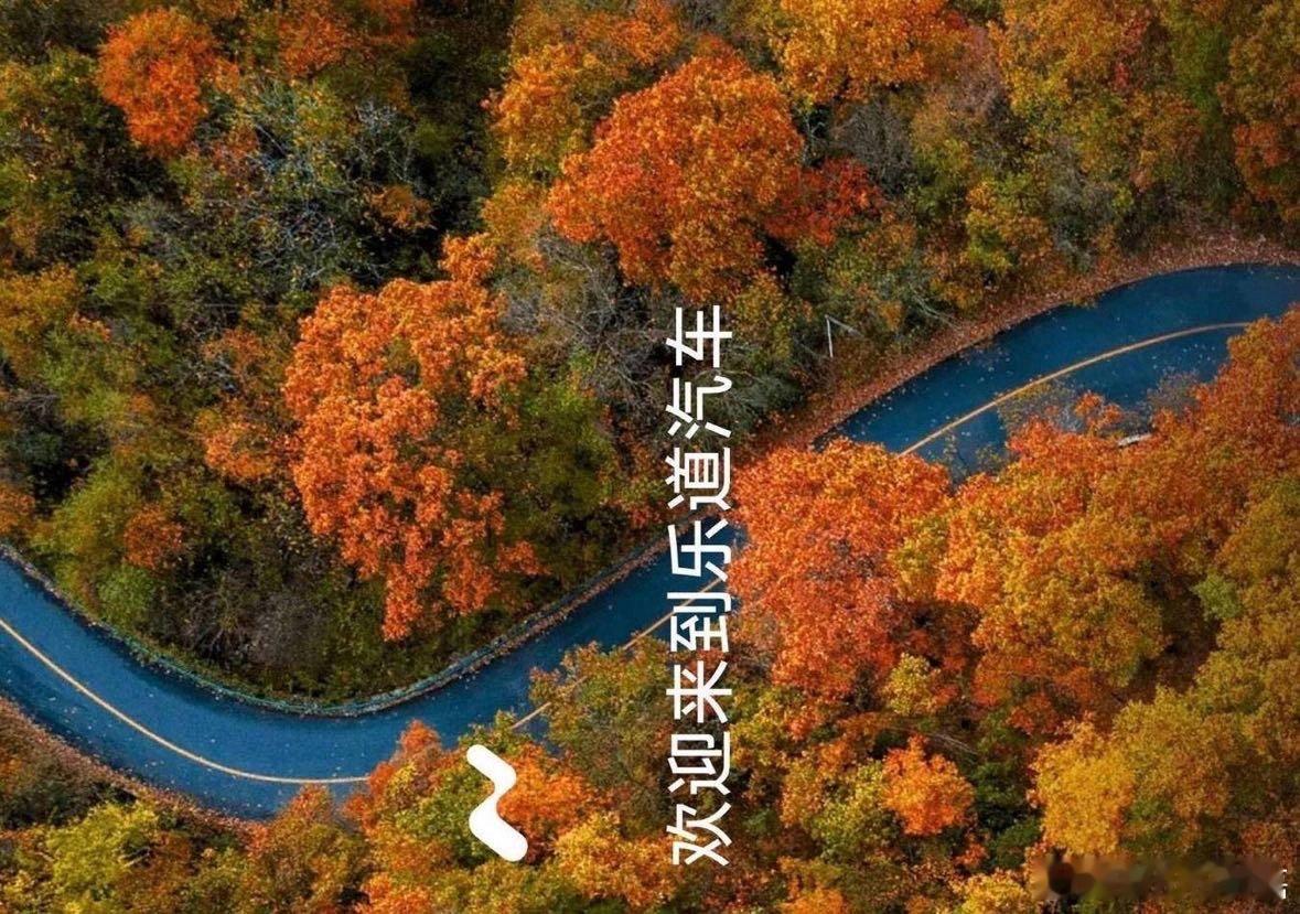 《看过实车后  告诉你一个我所知道的乐道》上海的春季总是有着淅淅沥沥的小雨，当时