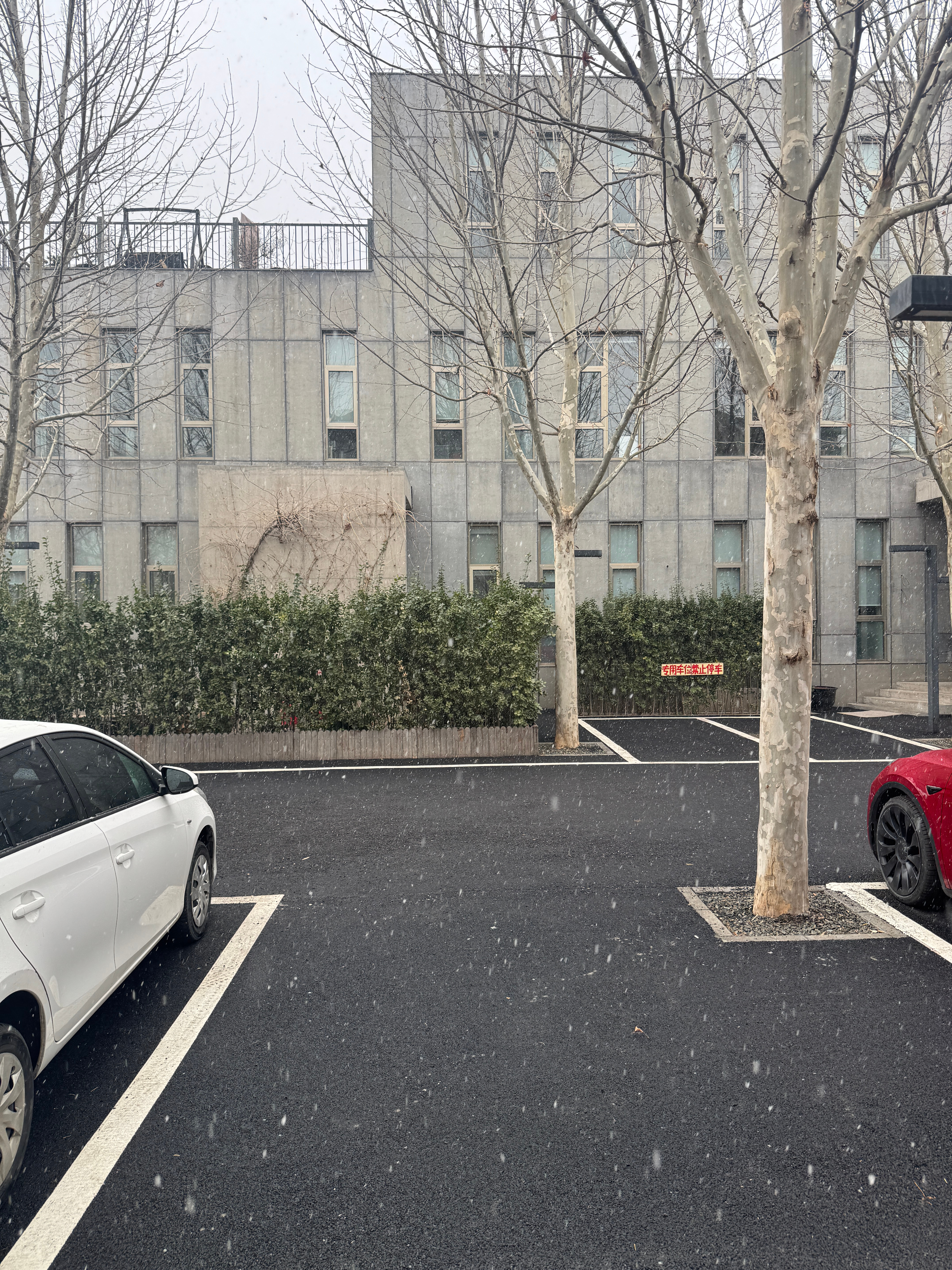 北京下雪 又下雪啦 