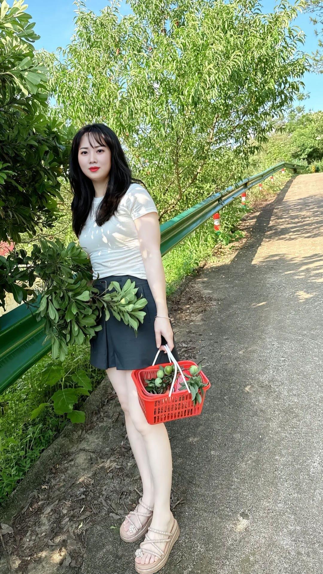 摘果子了