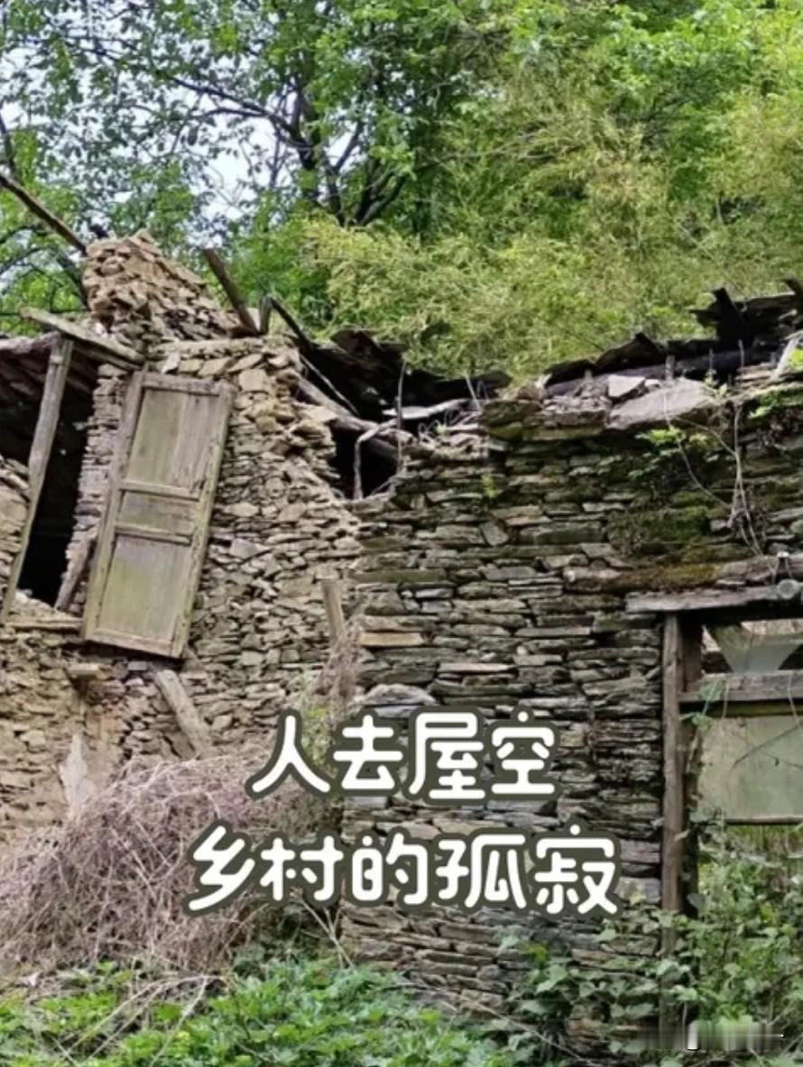 郑文明：若一个个乡村走向凋零那中国现代化会犯历史颠覆性错误！
 
乡村是中华民族