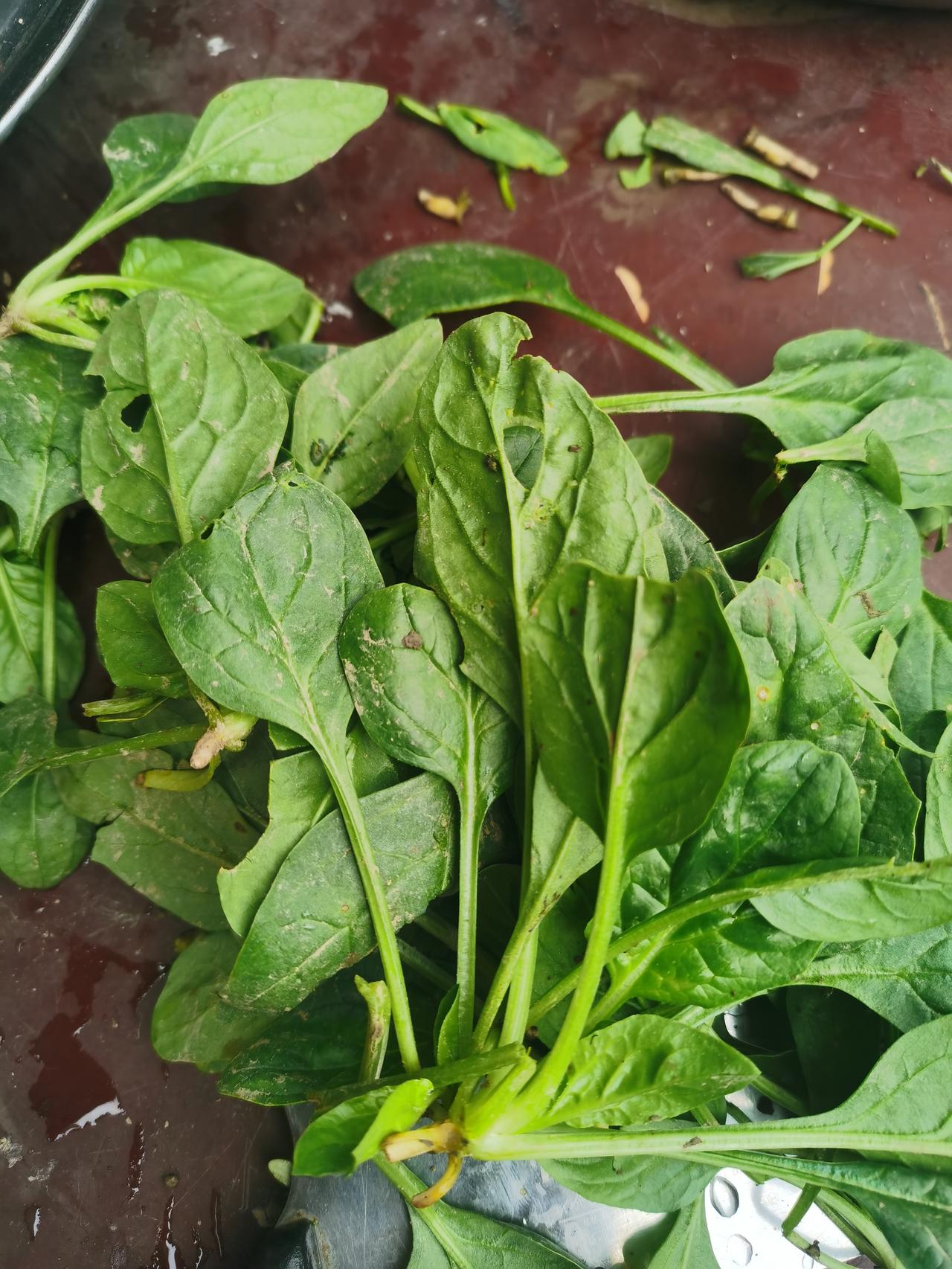 大伙看看，这菠菜12块钱一斤，怎么样？
        老板说是纯天然绿色无污染