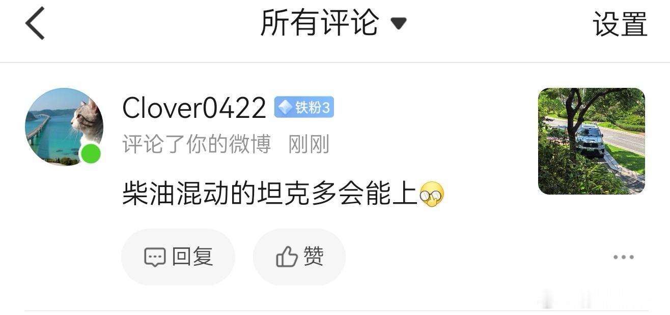 还惦记着柴油混动呢？柴油当时就一堆人嚷嚷要买。结果呢？300的柴油占比还不到10
