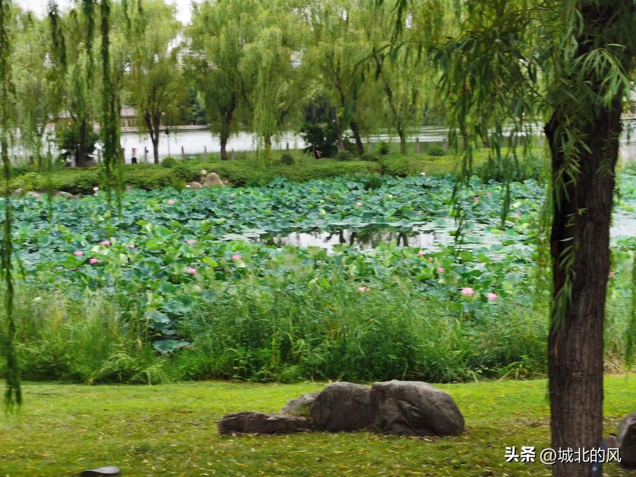 早上公园跑步，看到一位40岁左右的女子，坐在跑道一边的座椅上悄悄抹眼泪，看了心里