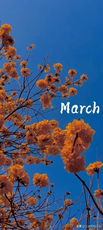 3月对射手座而言，是超有盼头的一个月。这是“先扎根，再绽放”的校准月，前半段得围