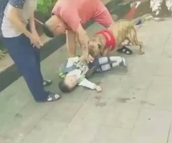 山西大同发生恶性狗咬主人事件

近日，山西省大同市云冈区恒安新区发生了一起令人震