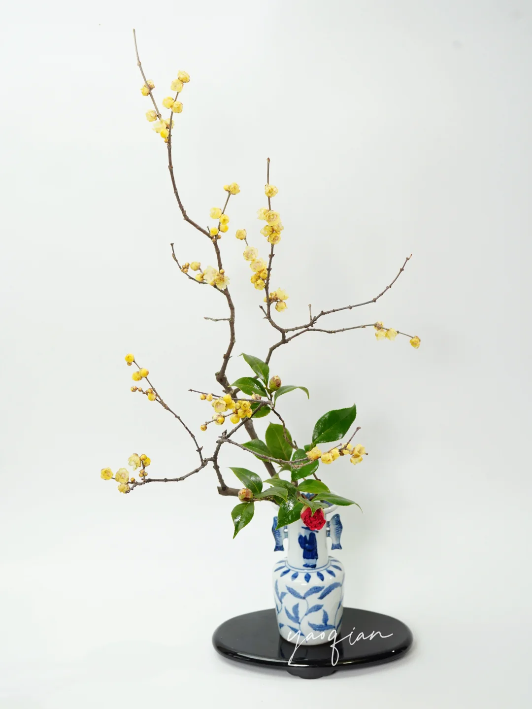 腊梅与山茶的文人调插花