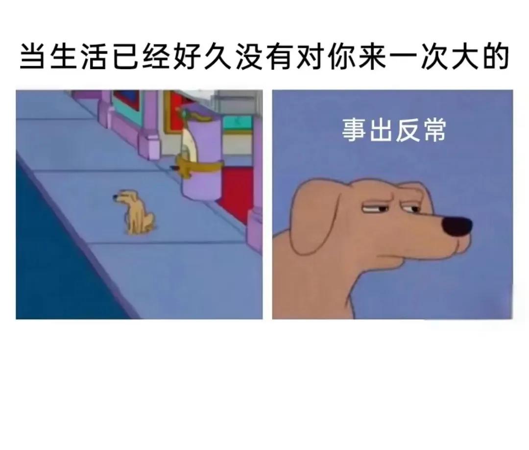 要么怎么说单纯的跟狗儿一样呢？