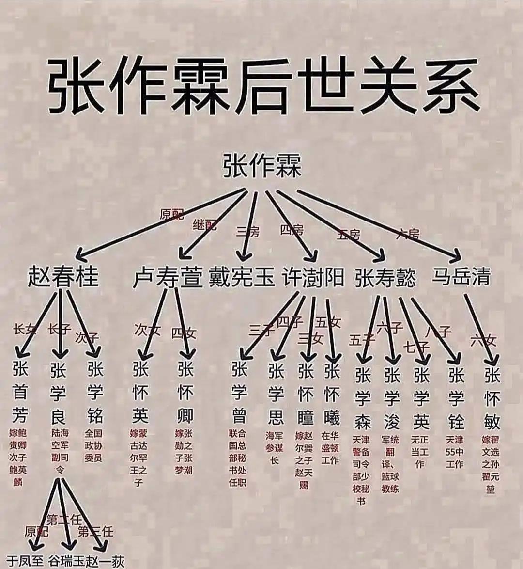 张作霖的后代关系老复杂了，家族那叫一个庞大。

他有六个老婆，生了八个儿子、六个