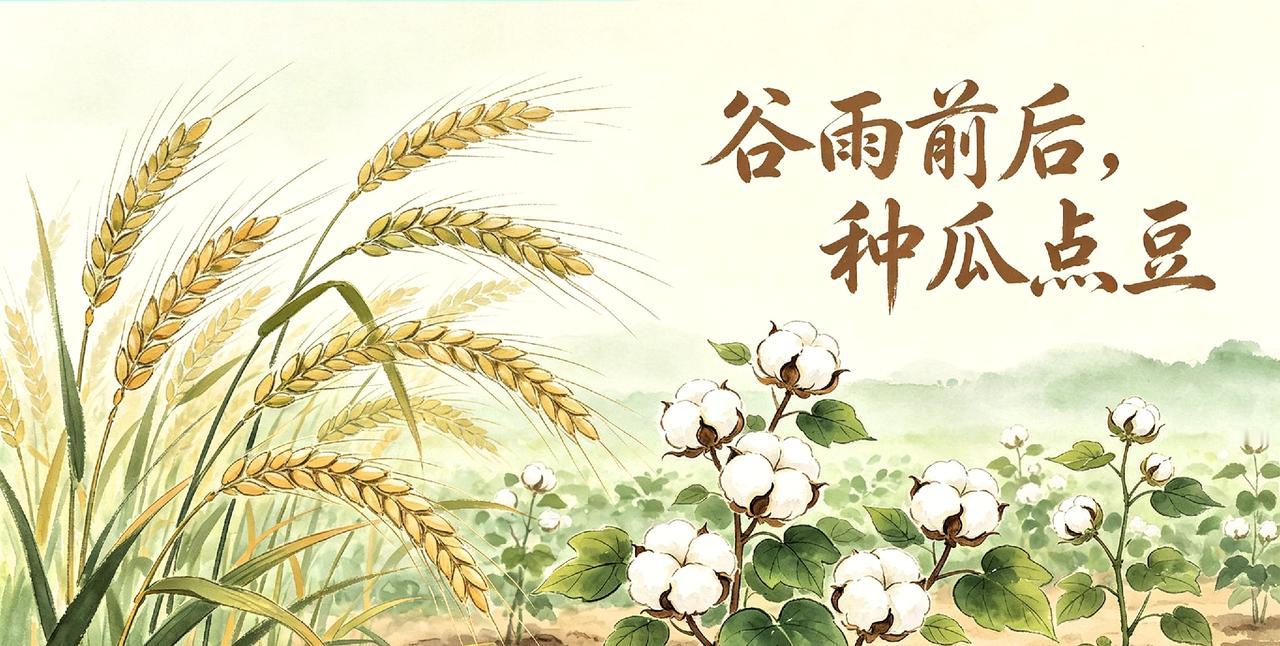 提前通知！
大家好有个心理建设，
4月20号当天9点38分就正式交接谷雨节气了，