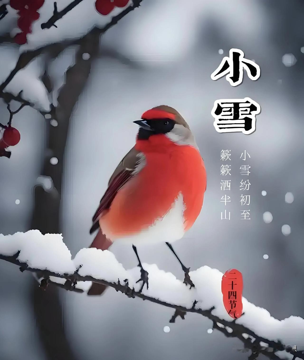 友友们，早上好！今天小雪哦，

没有像往年一样，下小雪，

记得小时候小雪都是如